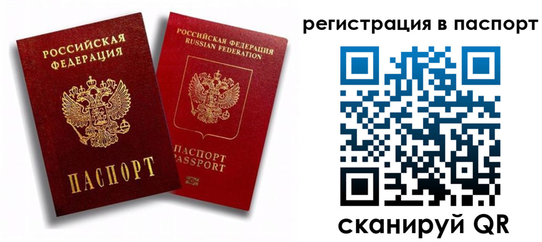 прописка 2025 в Липецке
